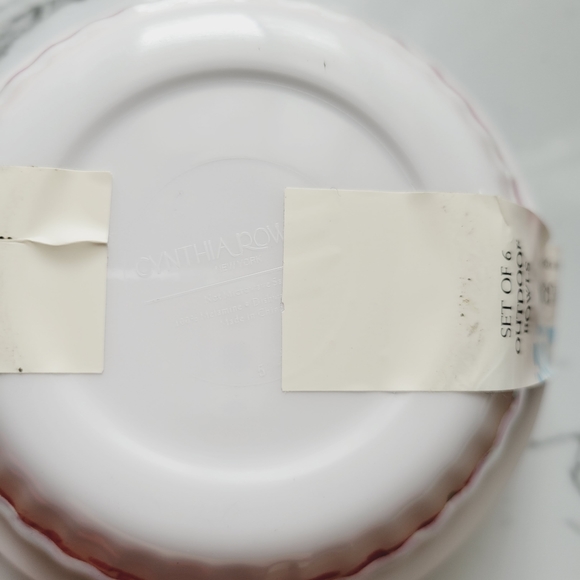 NEW Cynthia Rowley Outdoor Bowls Set of 6 - Picture 4 of 5